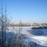 Ice-skating