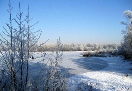 Ice-skating - ice, fun, sunshine, trees, water, winter, lovely, nature, blue, beautiful, tree, pond