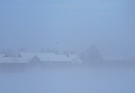 * WINTER * - nice, winter, foggy, lovely, nature, white, cold, snow, beautiful, freeze, fog, snowy