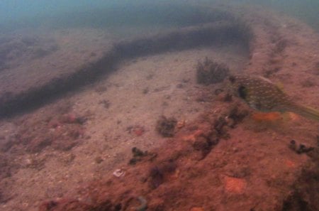 Pearl Harbor Under Water Wreckage - under water, pearl harbor, wreckage, hawaii