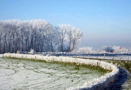 *** WINTER  *** - sky, trees, winter, path, road, nature, cold, snow, blue, green, house, tree, grass, snowy