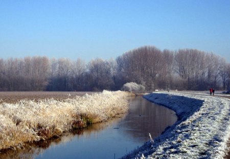 Winter *** - ice, sky, trees, winter, lovely, nature, white, blue, beautiful, green, tree, grass