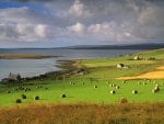 beautiful farms by the sea coast