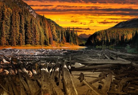 awesome autumn landscape - river, forests, logs, autumn, sky