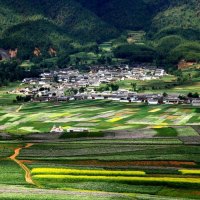 wonderful village surrounded by fields in china