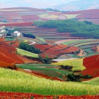 colorful fields in yunnan china