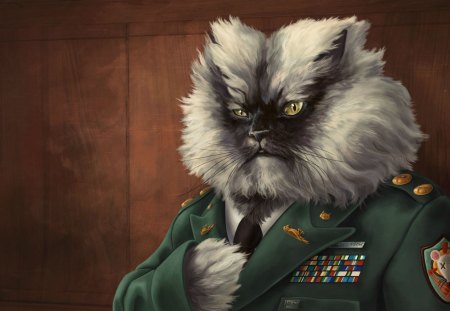 Colonel Meow - fantasy, meow, colonel, cat