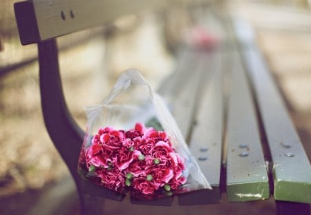 lying on the bench - flowers, bench, nature, wood