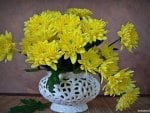 yellow chrysanthemums in a white vase