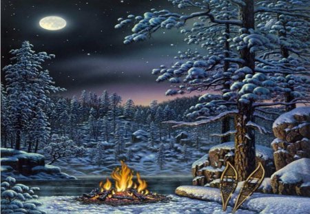 CAMP FIRE - moon, sky, stars, trees, winter, night, fire, forest, snow