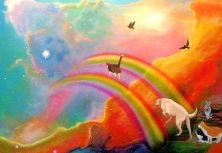 Rainbow Bridge - loss, love, hope, pet, fantasy