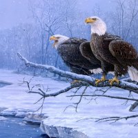 áƒ¦.Great Eagles in Winter.áƒ¦