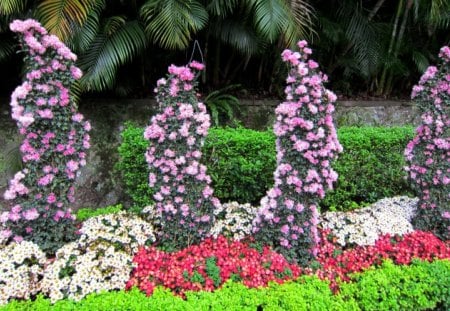 Garden flower decorative - flowers, colorful, decorative, garden