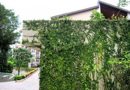 Fertilife - fpowers, fertilife, hot spring hotel, vines