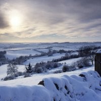 Winter landscape