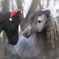 Christmas Time
