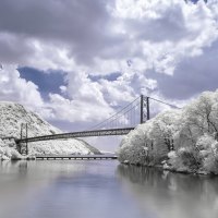 bridge and trees in the cold winter