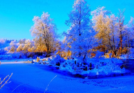 Snow covered trees - snow, covered, trees, sky