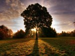 Sunrise in the field