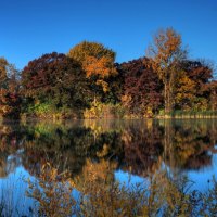 Lake and trees in autumn