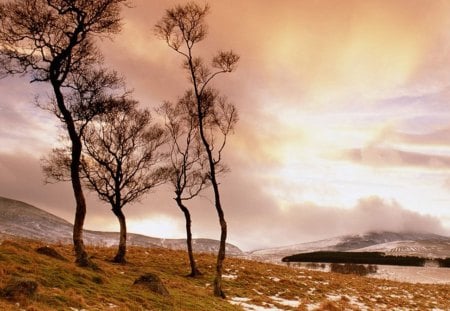 beautiful sky over a glen in scotland - trees, hills, glen, fiery, sky