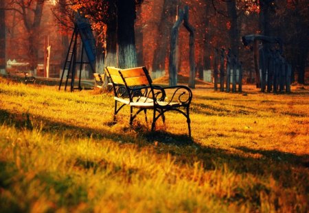 wonderful autumn colors in a park - bench autumn, colors, trees, park