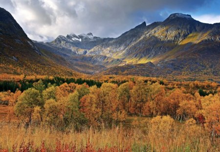 Autumn in the mountains - tree, mountains, clouds, autumn