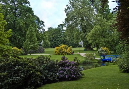 green summer garden - green, summer, tree, garden