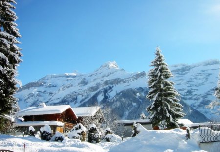 house and trees covered with snow - house, snow, covered, trees