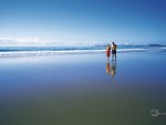 couple walking on the beach