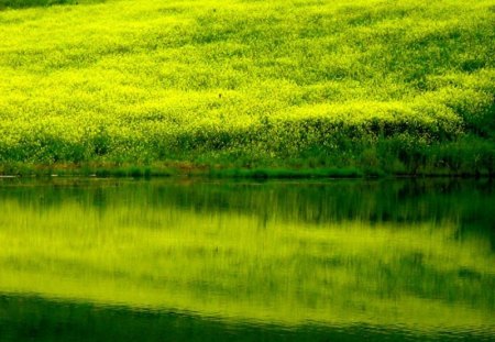 bismil tiny lake            turkey - tiny, lake, bismil, turkey