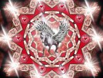 heart of pegasus