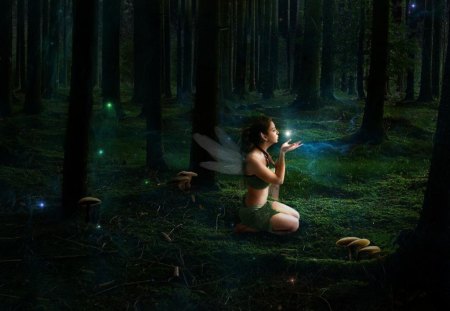 Fairy - fairy, abstract, fantasy, forest