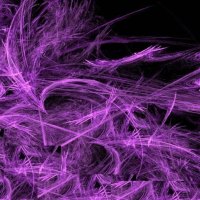 Fairy Purple Abstract