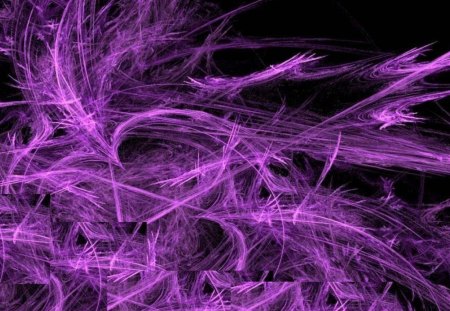 Fairy Purple Abstract - fractal, purple, fractals, lines, image