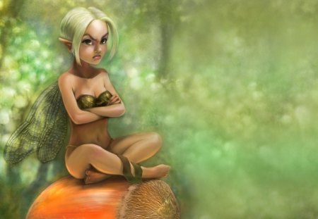 Fairy Nuts - nut, fantasy, girl, cute, fairy, forest