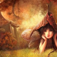 Fee fantasy