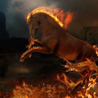 Fire Hors