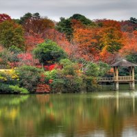 Japanes Nature