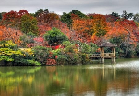 Japanes Nature - forest, water