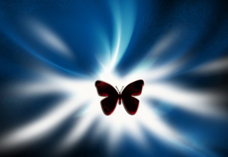 Above the storm - butterfly, blue