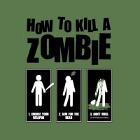 how 2 kill a zombie 