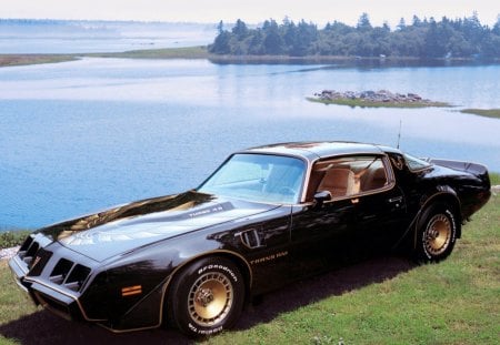 1980 Pontiac Trans Am - trans am, cars, bandit, pontiac