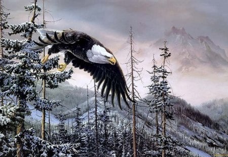 By Christopher Walden - eagle, nature, painting, christopher walden, art