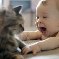 Cat And Children