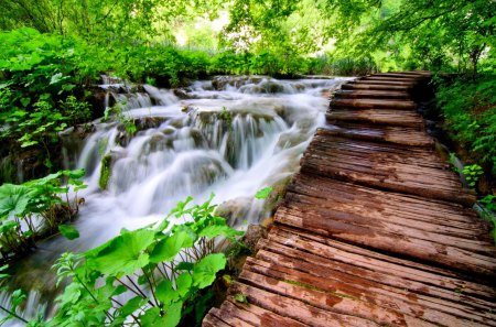 FOREST FLOW - nature, falls, river, flow, bridge