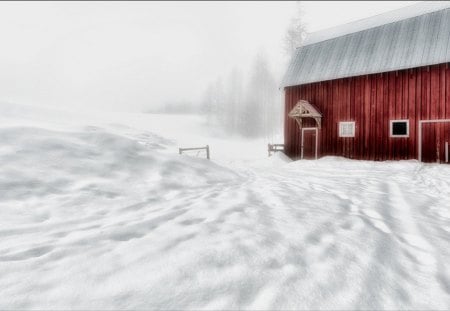 Winter house - frosty, xmas, greeting, shine, other, whiter trees, amazing, cool, cold, holiday, frozen, silent, shining, nature, splendidly, celebration, beautiful, seasons, travels, peaceful, photography, mountains, wonderful, mist, gorgeous, quiet, winter time, rivers, magnificent, winter, christmas, splendor blue in winter, splendor, miracle, fog