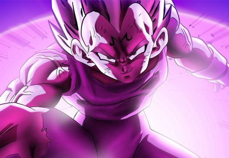 Dragonball Z - anime, dragon, ball, vegeta, z