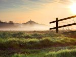 grassy field at sunrise