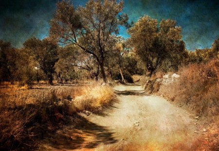 country road hdr - countryside, trees, road, hdr